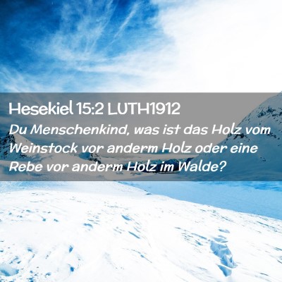 Picture 02 - Hesekiel 15:2 LUTH1912 - Du Menschenkind, was ist das Holz vom Weinstock - Bible Verse Picture