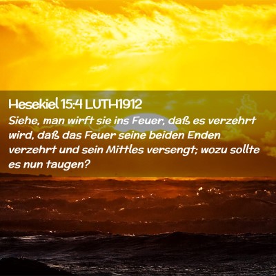 Picture 02 - Hesekiel 15:4 LUTH1912 - Siehe, man wirft sie ins Feuer, daß es verzehrt - Bible Verse Picture