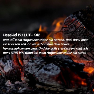 Picture 02 - Hesekiel 15:7 LUTH1912 - und will mein Angesicht wider sie setzen, daß - Bible Verse Picture