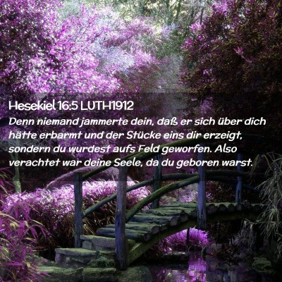 Picture 02 - Hesekiel 16:5 LUTH1912 - Denn niemand jammerte dein, daß er sich über - Bible Verse Picture
