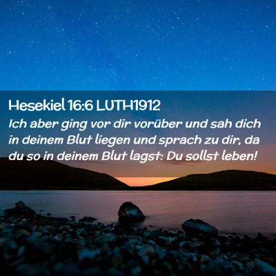 Picture 02 - Hesekiel 16:6 LUTH1912 - Ich aber ging vor dir vorüber und sah dich in - Bible Verse Picture
