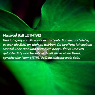 Picture 02 - Hesekiel 16:8 LUTH1912 - Und ich ging vor dir vorüber und sah dich an; - Bible Verse Picture