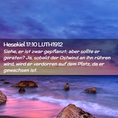 Picture 02 - Hesekiel 17:10 LUTH1912 - Siehe, er ist zwar gepflanzt; aber sollte er - Bible Verse Picture
