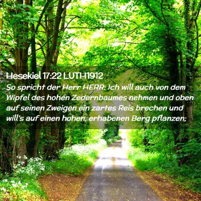 Picture 02 - Hesekiel 17:22 LUTH1912 - So spricht der Herr HERR: Ich will auch von dem - Bible Verse Picture