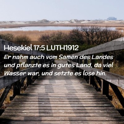 Picture 02 - Hesekiel 17:5 LUTH1912 - Er nahm auch vom Samen des Landes und pflanzte es - Bible Verse Picture