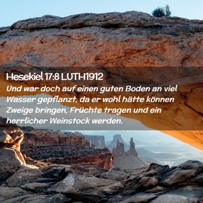 Picture 02 - Hesekiel 17:8 LUTH1912 - Und war doch auf einen guten Boden an viel Wasser - Bible Verse Picture