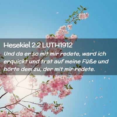 Picture 02 - Hesekiel 2:2 LUTH1912 - Und da er so mit mir redete, ward ich erquickt - Bible Verse Picture