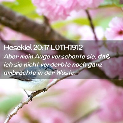 Picture 02 - Hesekiel 20:17 LUTH1912 - Aber mein Auge verschonte sie, daß ich sie nicht - Bible Verse Picture