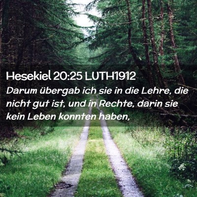 Picture 02 - Hesekiel 20:25 LUTH1912 - Darum übergab ich sie in die Lehre, die nicht - Bible Verse Picture