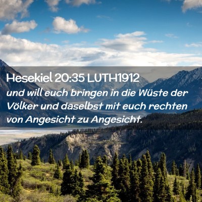 Picture 02 - Hesekiel 20:35 LUTH1912 - und will euch bringen in die Wüste der Völker - Bible Verse Picture