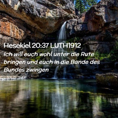 Picture 02 - Hesekiel 20:37 LUTH1912 - Ich will euch wohl unter die Rute bringen und - Bible Verse Picture
