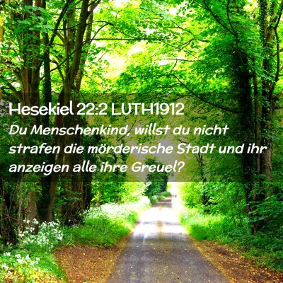 Picture 02 - Hesekiel 22:2 LUTH1912 - Du Menschenkind, willst du nicht strafen die - Bible Verse Picture