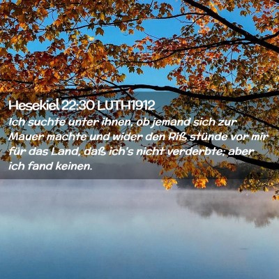 Picture 02 - Hesekiel 22:30 LUTH1912 - Ich suchte unter ihnen, ob jemand sich zur Mauer - Bible Verse Picture