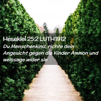 Picture 02 - Hesekiel 25:2 LUTH1912 - Du Menschenkind, richte dein Angesicht gegen die - Bible Verse Picture