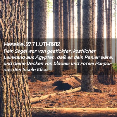 Picture 02 - Hesekiel 27:7 LUTH1912 - Dein Segel war von gestickter, köstlicher - Bible Verse Picture