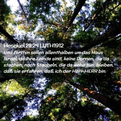 Picture 02 - Hesekiel 28:24 LUTH1912 - Und forthin sollen allenthalben um das Haus - Bible Verse Picture
