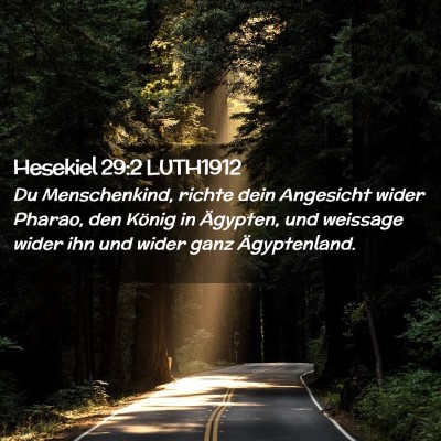 Picture 02 - Hesekiel 29:2 LUTH1912 - Du Menschenkind, richte dein Angesicht wider - Bible Verse Picture