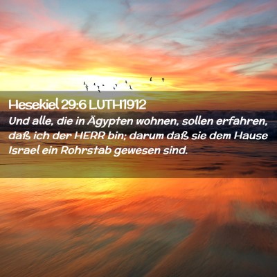 Picture 02 - Hesekiel 29:6 LUTH1912 - Und alle, die in Ägypten wohnen, sollen - Bible Verse Picture