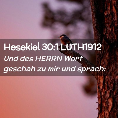 Picture 02 - Hesekiel 30:1 LUTH1912 - Und des HERRN Wort geschah zu mir und - Bible Verse Picture