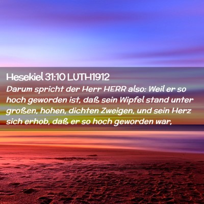 Picture 02 - Hesekiel 31:10 LUTH1912 - Darum spricht der Herr HERR also: Weil er so hoch - Bible Verse Picture