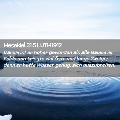 Picture 02 - Hesekiel 31:5 LUTH1912 - Darum ist er höher geworden als alle Bäume im - Bible Verse Picture