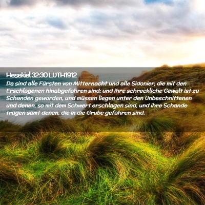 Picture 02 - Hesekiel 32:30 LUTH1912 - Da sind alle Fürsten von Mitternacht und alle - Bible Verse Picture
