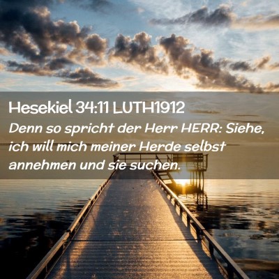 Picture 02 - Hesekiel 34:11 LUTH1912 - Denn so spricht der Herr HERR: Siehe, ich will - Bible Verse Picture