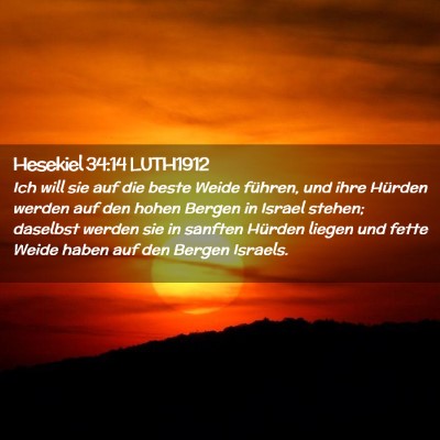 Picture 02 - Hesekiel 34:14 LUTH1912 - Ich will sie auf die beste Weide führen, und - Bible Verse Picture