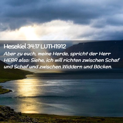 Picture 02 - Hesekiel 34:17 LUTH1912 - Aber zu euch, meine Herde, spricht der Herr HERR - Bible Verse Picture