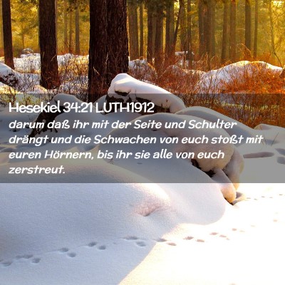 Picture 02 - Hesekiel 34:21 LUTH1912 - darum daß ihr mit der Seite und Schulter drängt - Bible Verse Picture