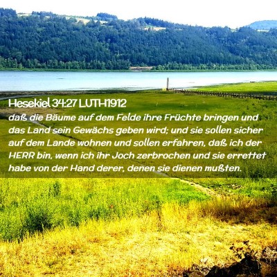 Picture 02 - Hesekiel 34:27 LUTH1912 - daß die Bäume auf dem Felde ihre Früchte - Bible Verse Picture