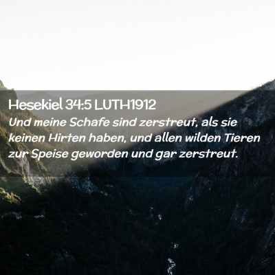 Picture 02 - Hesekiel 34:5 LUTH1912 - Und meine Schafe sind zerstreut, als sie keinen - Bible Verse Picture