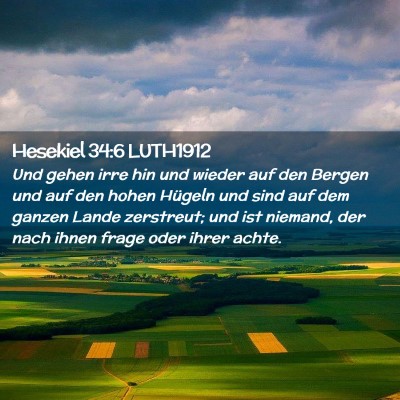 Picture 02 - Hesekiel 34:6 LUTH1912 - Und gehen irre hin und wieder auf den Bergen und - Bible Verse Picture