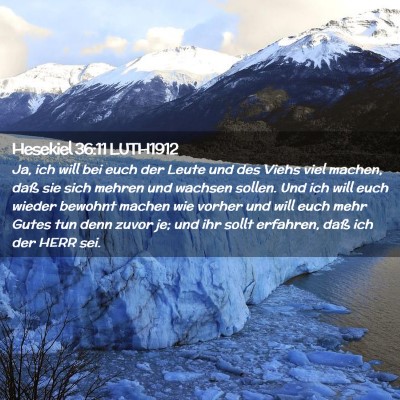 Picture 02 - Hesekiel 36:11 LUTH1912 - Ja, ich will bei euch der Leute und des Viehs - Bible Verse Picture