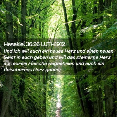 Picture 02 - Hesekiel 36:26 LUTH1912 - Und ich will euch ein neues Herz und einen neuen - Bible Verse Picture