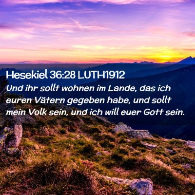 Picture 02 - Hesekiel 36:28 LUTH1912 - Und ihr sollt wohnen im Lande, das ich euren - Bible Verse Picture
