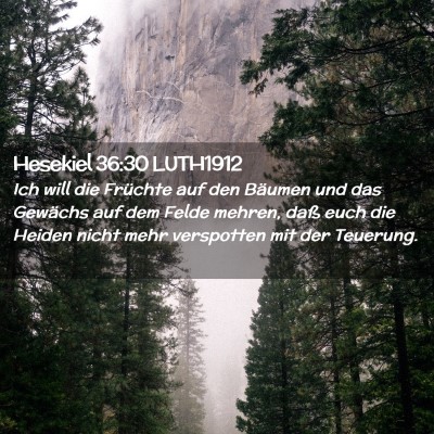 Picture 02 - Hesekiel 36:30 LUTH1912 - Ich will die Früchte auf den Bäumen und das - Bible Verse Picture
