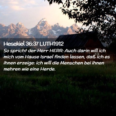 Picture 02 - Hesekiel 36:37 LUTH1912 - So spricht der Herr HERR: Auch darin will ich - Bible Verse Picture
