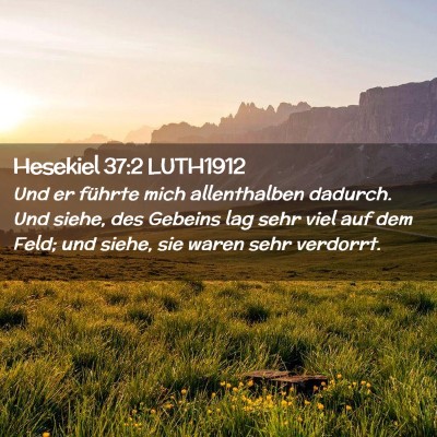 Picture 02 - Hesekiel 37:2 LUTH1912 - Und er führte mich allenthalben dadurch. Und - Bible Verse Picture