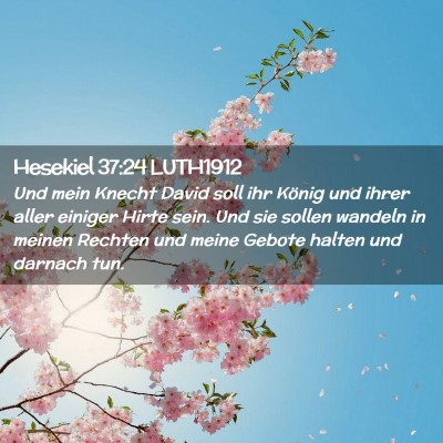 Picture 02 - Hesekiel 37:24 LUTH1912 - Und mein Knecht David soll ihr König und ihrer - Bible Verse Picture