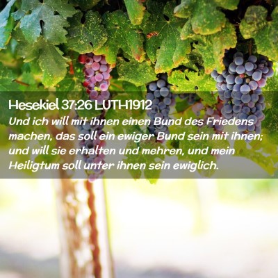 Picture 02 - Hesekiel 37:26 LUTH1912 - Und ich will mit ihnen einen Bund des Friedens - Bible Verse Picture