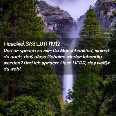 Picture 02 - Hesekiel 37:3 LUTH1912 - Und er sprach zu mir: Du Menschenkind, meinst du - Bible Verse Picture