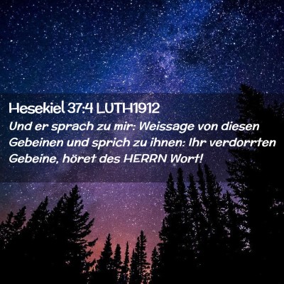 Picture 02 - Hesekiel 37:4 LUTH1912 - Und er sprach zu mir: Weissage von diesen - Bible Verse Picture