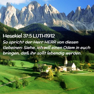 Picture 02 - Hesekiel 37:5 LUTH1912 - So spricht der Herr HERR von diesen Gebeinen: - Bible Verse Picture