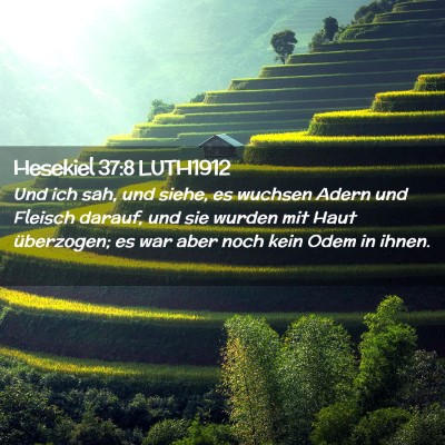 Picture 02 - Hesekiel 37:8 LUTH1912 - Und ich sah, und siehe, es wuchsen Adern und - Bible Verse Picture