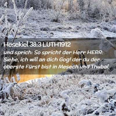 Picture 02 - Hesekiel 38:3 LUTH1912 - und sprich: So spricht der Herr HERR: Siehe, ich - Bible Verse Picture
