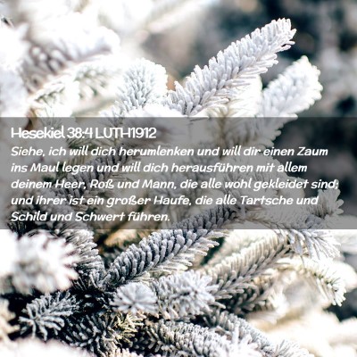 Picture 02 - Hesekiel 38:4 LUTH1912 - Siehe, ich will dich herumlenken und will dir - Bible Verse Picture