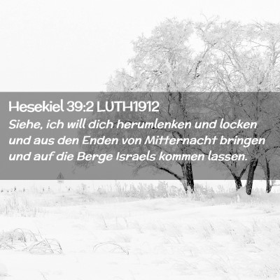 Picture 02 - Hesekiel 39:2 LUTH1912 - Siehe, ich will dich herumlenken und locken und - Bible Verse Picture