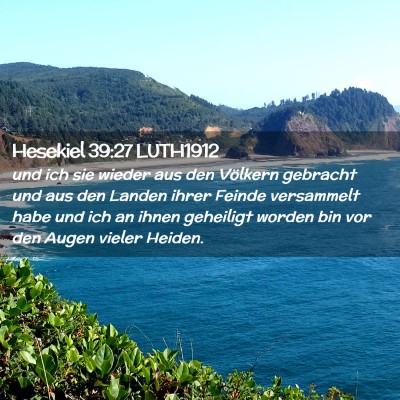 Picture 02 - Hesekiel 39:27 LUTH1912 - und ich sie wieder aus den Völkern gebracht und - Bible Verse Picture