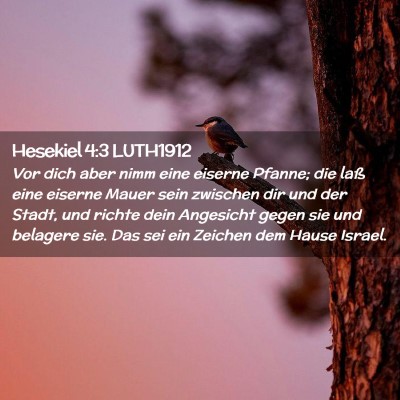 Picture 02 - Hesekiel 4:3 LUTH1912 - Vor dich aber nimm eine eiserne Pfanne; die laß - Bible Verse Picture